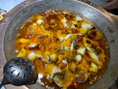 -雲蜀龙阁·金牌水煮鱼(方庄店)