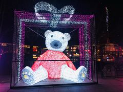 -天津之眼摩天轮