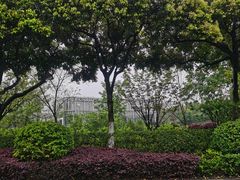 -棕榈MALL