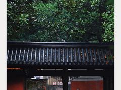 -岳麓山风景名胜区