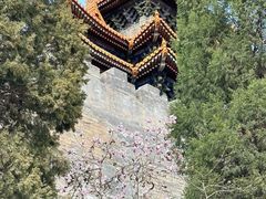 -东华门大街小区