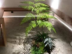 -光作面包Voila Lumiere(中山店)