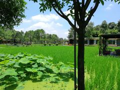 -洪湖家庭农场·团建·露营·会议