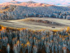 -塞罕坝国家级自然保护区