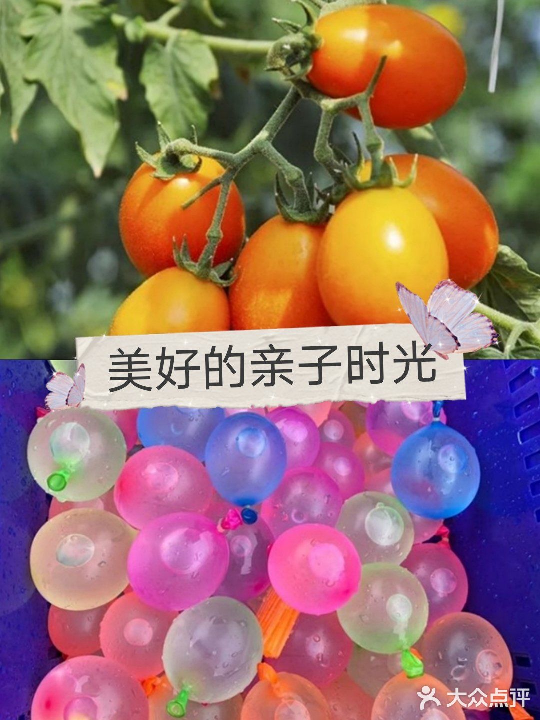 有趣的[调皮]亲子团建