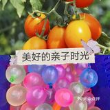 有趣的[调皮]亲子团建