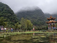 -靖西鹅泉风景区