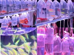 -华声天桥民俗文化园