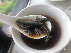 -唐阁海景中餐厅·早茶·粤菜•生日聚餐(海口朗廷酒店)