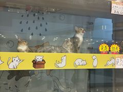 -紫峰大厦