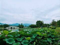 -飞来湖湿地公园