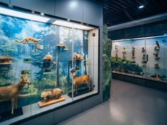 -下渚湖国家湿地公园科普馆