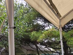 -尚庄度假村·庭台树下·户外烧烤·团建CS·轰趴营地(上庄水库店)