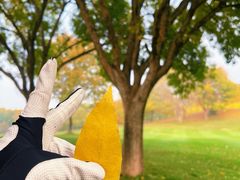 -万柳高尔夫俱乐部