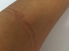 -爱侬家庭服务(望京分部)