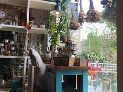 -Kitchen·Y洋厨房西餐厅(王府壹号店)