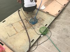 -同銮特种养殖场·龙虾垂钓