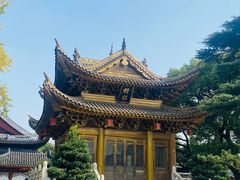 -上海东林寺(金山区)