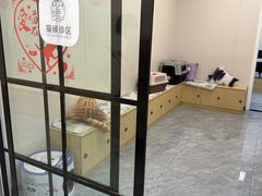 -美联众合爱康动物医院•复杂内科•肿瘤科•牙科•腔镜诊疗中心