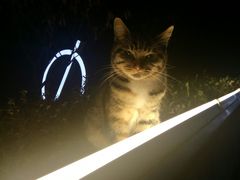 -UNI UNI(环亚凯瑟琳店)