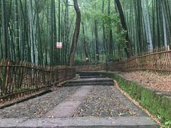 -杭州黄龙洞
