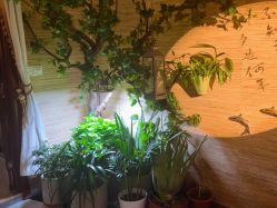 -至爱至信新中式SPA疗愈会所