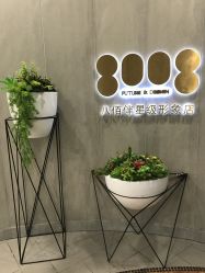 点击看大图 -八佰伴8008星级形象店