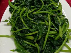 清炒番薯叶-蛇口康乐快餐鱼仔档(翠苑小区店)