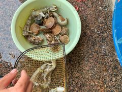 -海之味海鲜大咖·家常菜