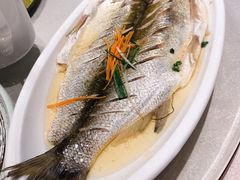 清蒸白水鱼-天福苑(崇宁路店)