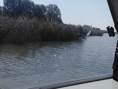 -微山湖红荷湿地景区
