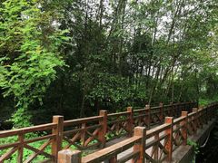 -桤木河湿地公园