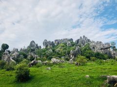 -元谋土林景区(物茂土林)