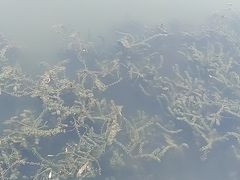 -马家湾湿地公园