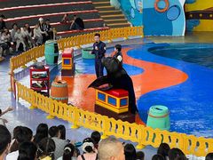 -海合安武汉极地海洋公园