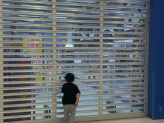 -玩具反斗城(海港城店)