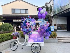 -雅达·阳羡溪山小镇中心