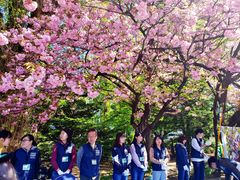 -北海道厅旧本厅舍(旧本庁舎)