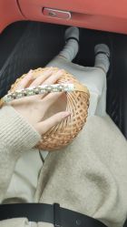 -七岛美学