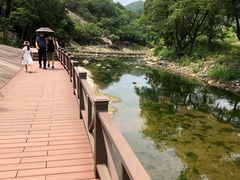 -武汉姚家山旅游景区