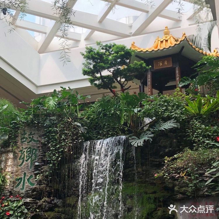 广州早茶 | 白天鹅 荔湾区人气早茶