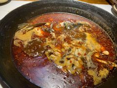 牛蛙鱼头锅-老天桥蛙炉火锅(姑苏总店)