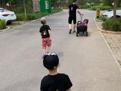 -东郊湿地公园