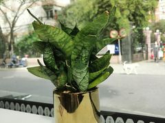 -OT另茶(上海幸福里店)