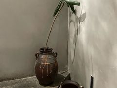 -本处·素食·融合料理(南油店)