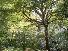 -三千院
