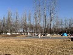 -汉长安城未央宫国家考古遗址公园