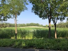 -东郊湿地公园