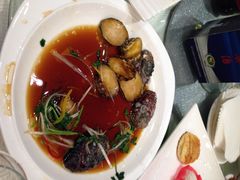 仔鲍鱼-上海瑞金洲际酒店