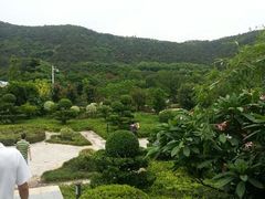 android_upload_pic-深圳麒麟山庄